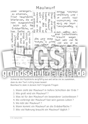 Maulwurf.pdf